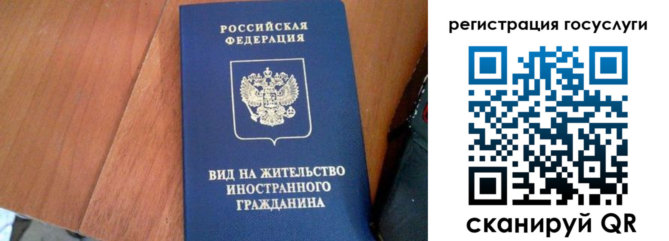временная регистрация гарантия в Камышине